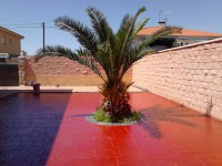 /album/fotogaleria/a084-jpg/